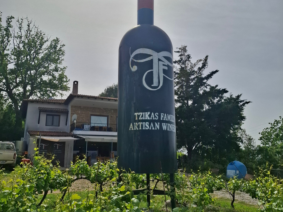Tzikas' Family Winery-Kassandreia必去景点