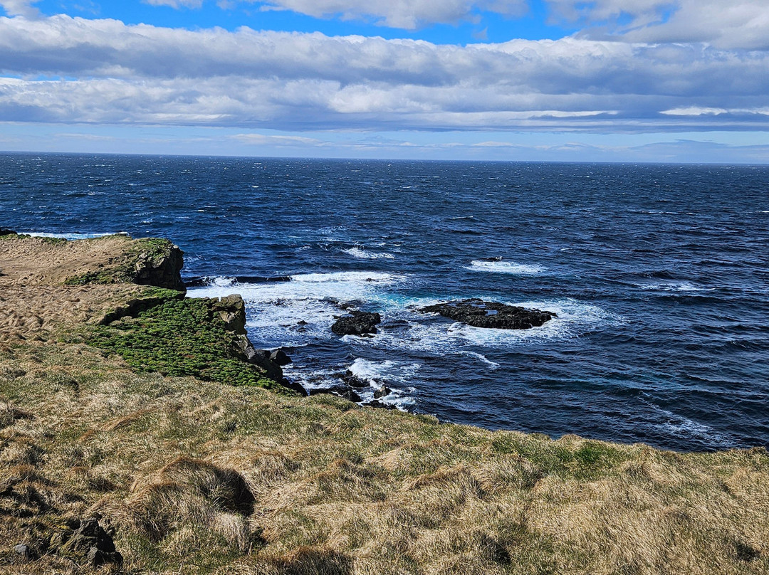 Arctic Trip-Grimsey Island必去景点