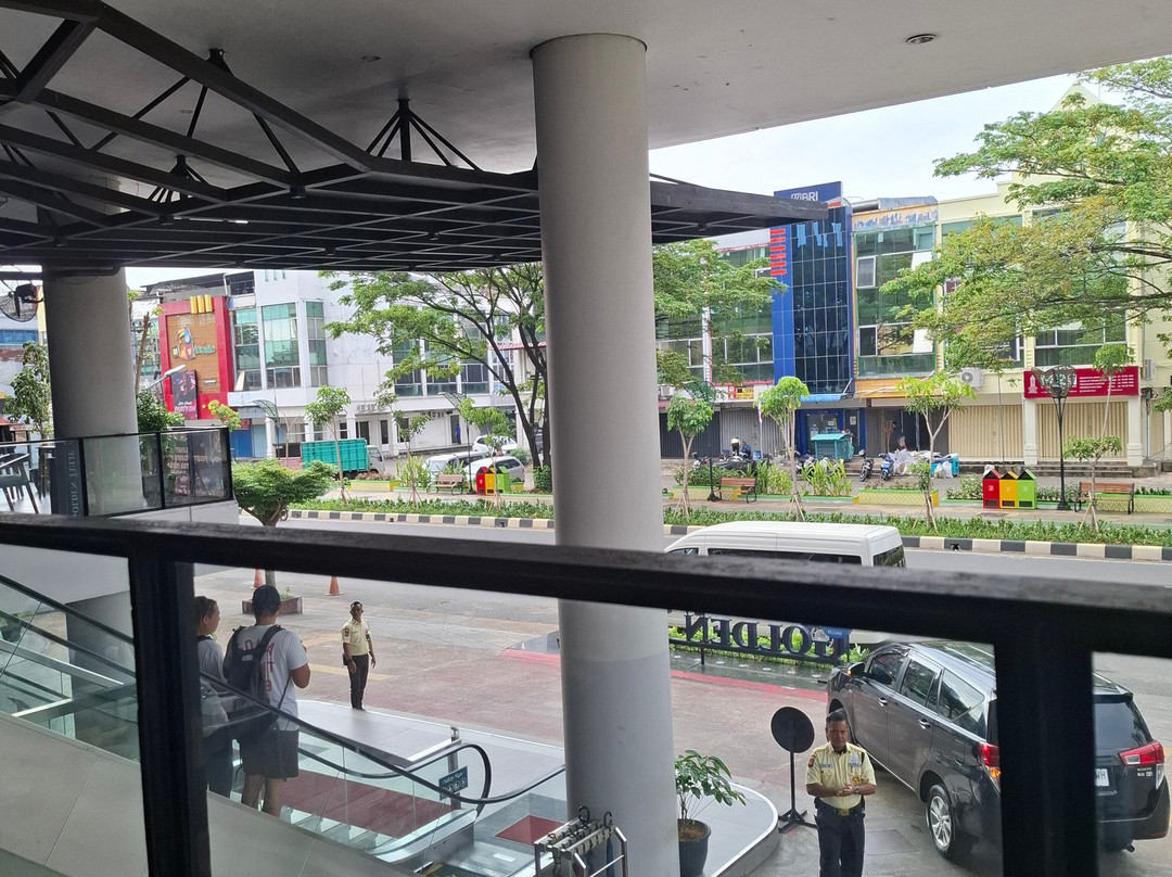 金色郁金香酒店-坤甸主图