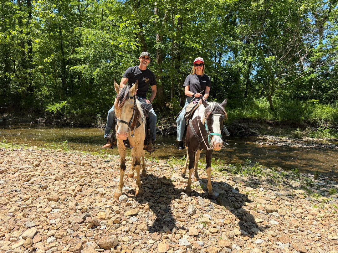 Natchez Trace Stables-Primm Springs必去景点