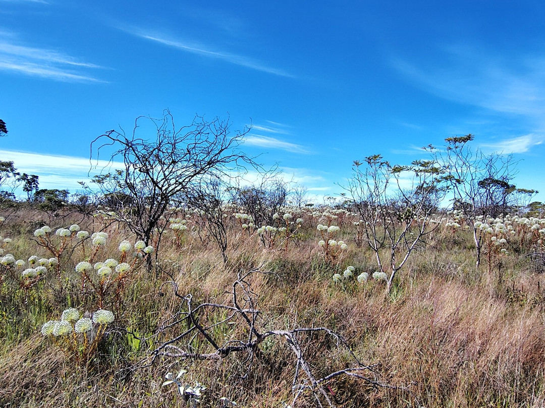 Parque Estadual da Serra dos Pireneus-Pirenopolis必去景点