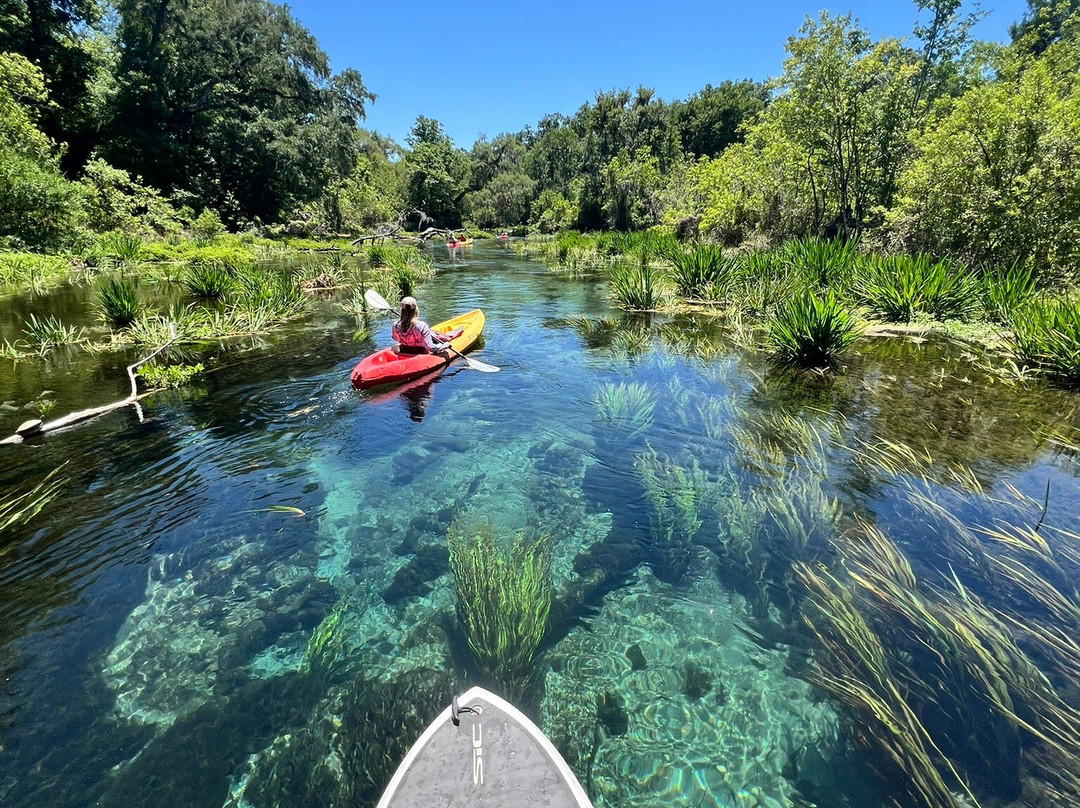 Ichetucknee Springs State Park-Fort White必去景点