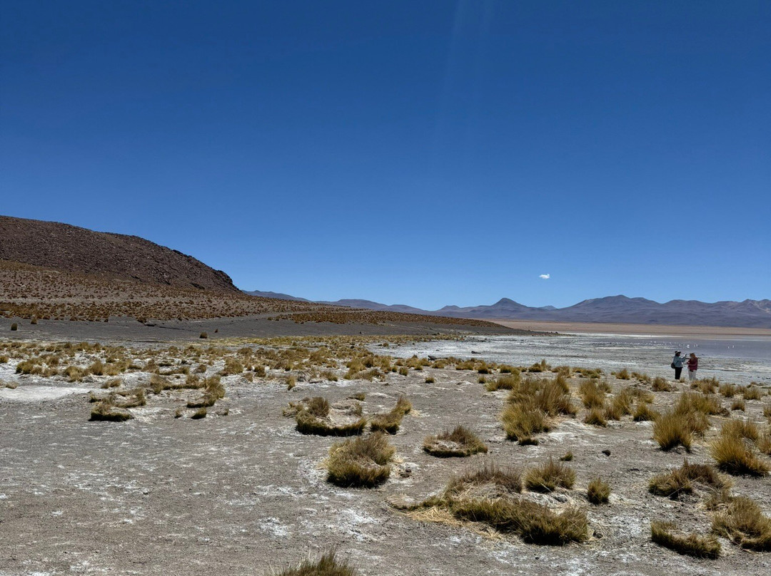Aguas Termales De Polques-乌尤尼必去景点