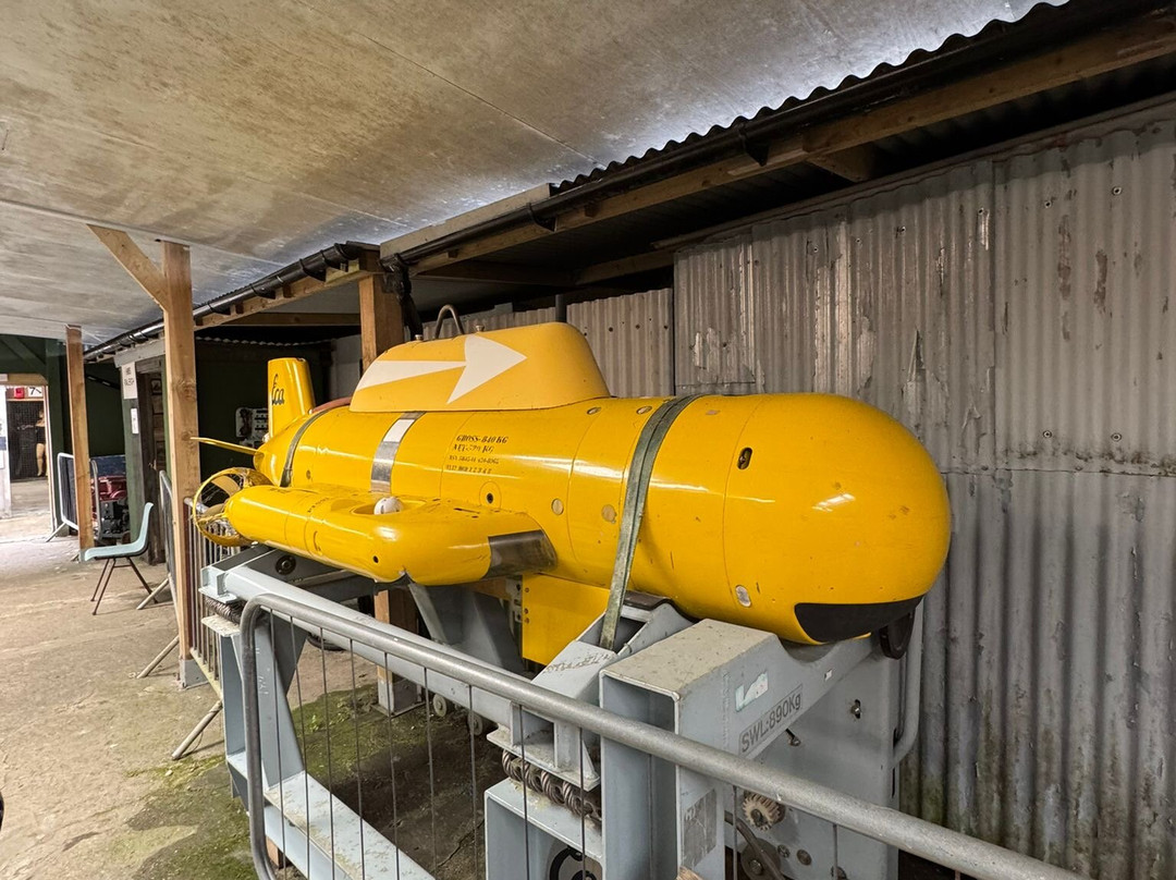 Davidstow Airfield & Cornwall At War Museum-Camelford必去景点