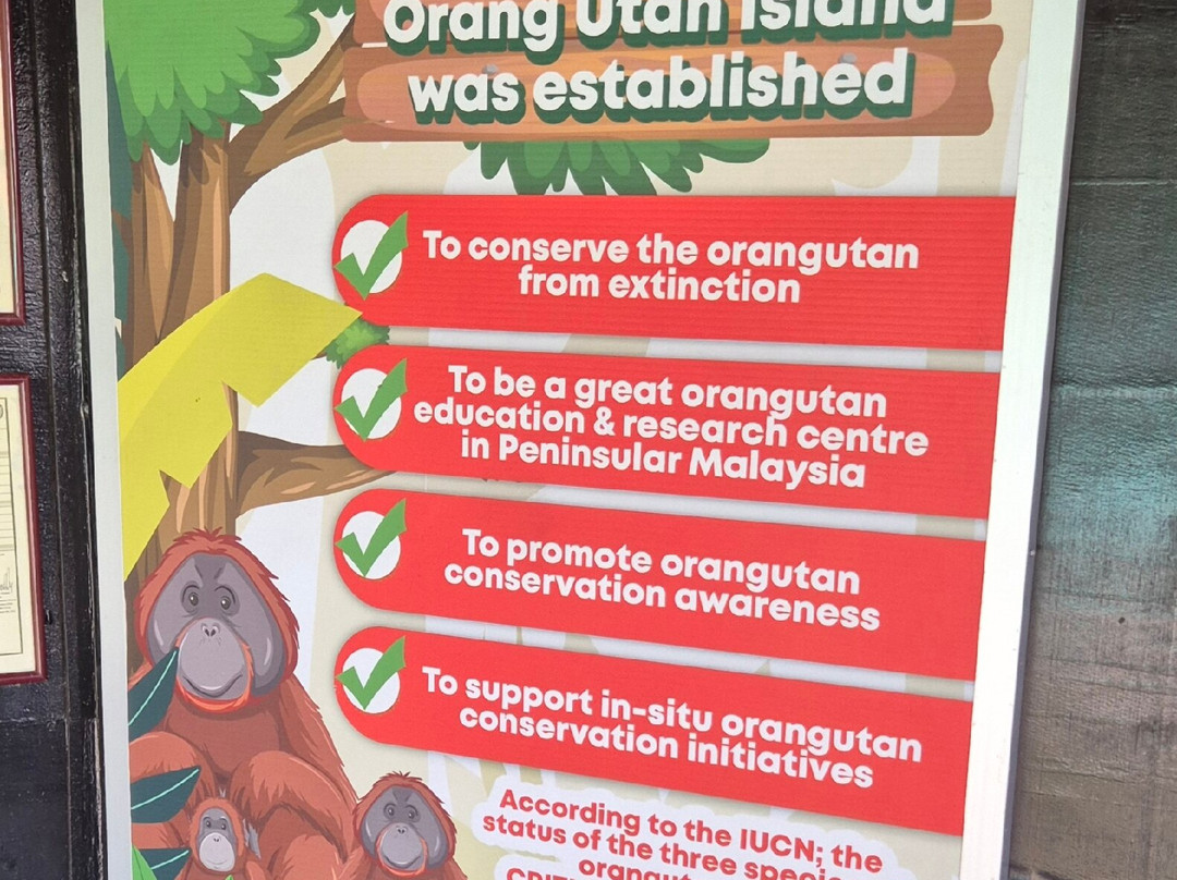 Orang Utan Island-新芒魏必去景点