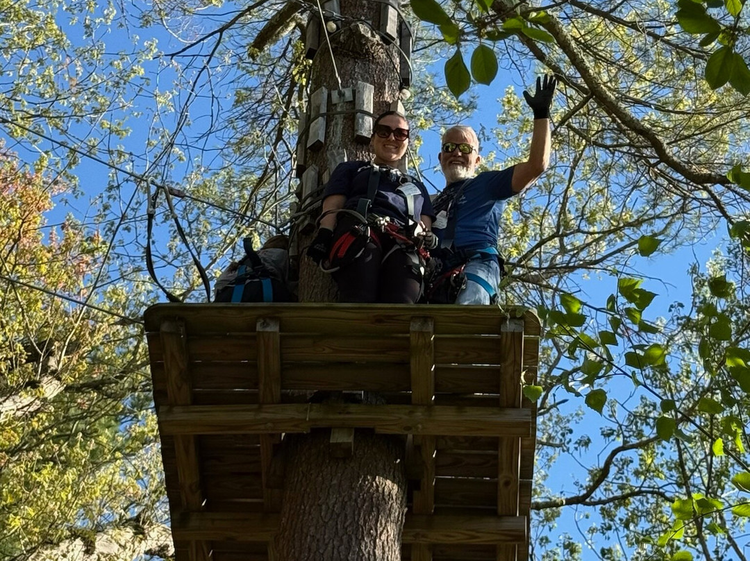 TreeTop Adventures Canton-Canton必去景点