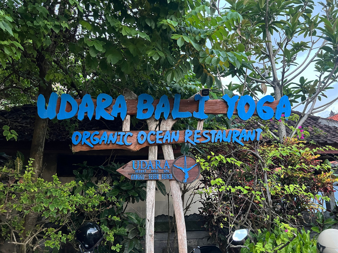 Udara Bali Yoga Detox & Spa主图
