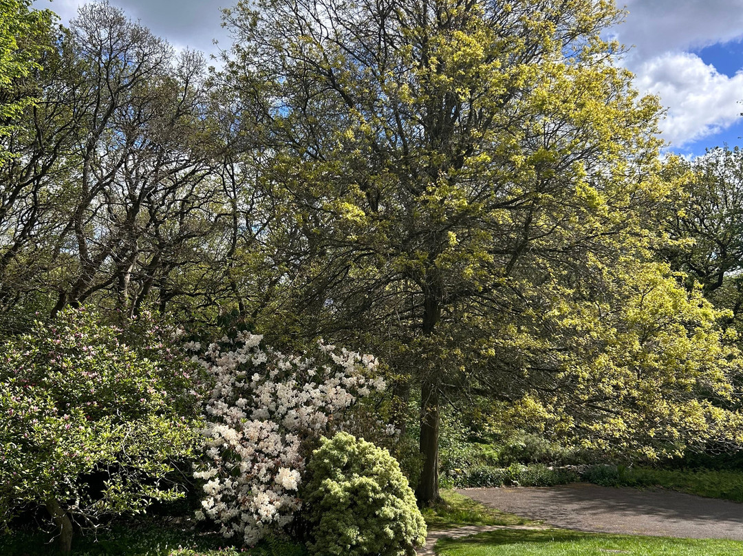 Stoneywell-Markfield必去景点