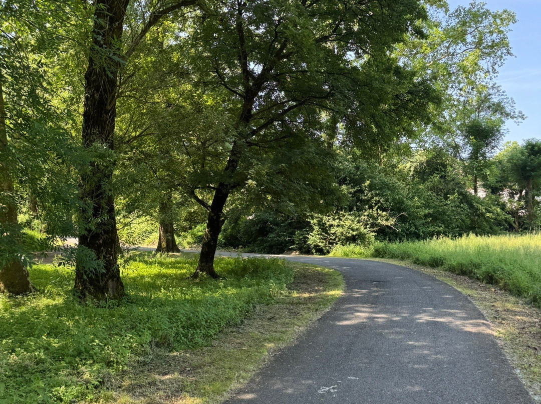 Pista Ciclopedonale Menaggio-Porlezza-梅纳焦必去景点
