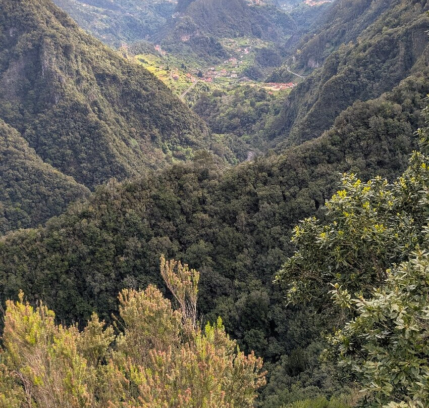 PR11 Vereda dos Balcões-Ribeiro Frio必去景点