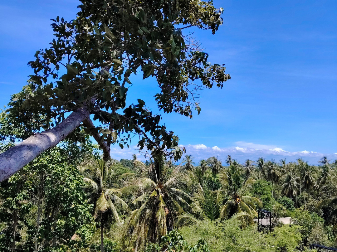 Samui Zipline & Adventures-利巴诺伊必去景点