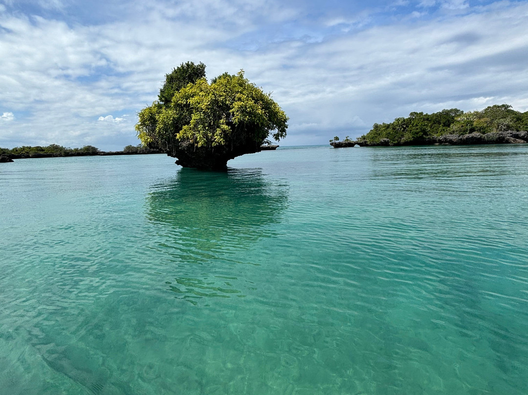 Triple J Zanzibar Tours And Transfers-桑给巴尔市必去景点