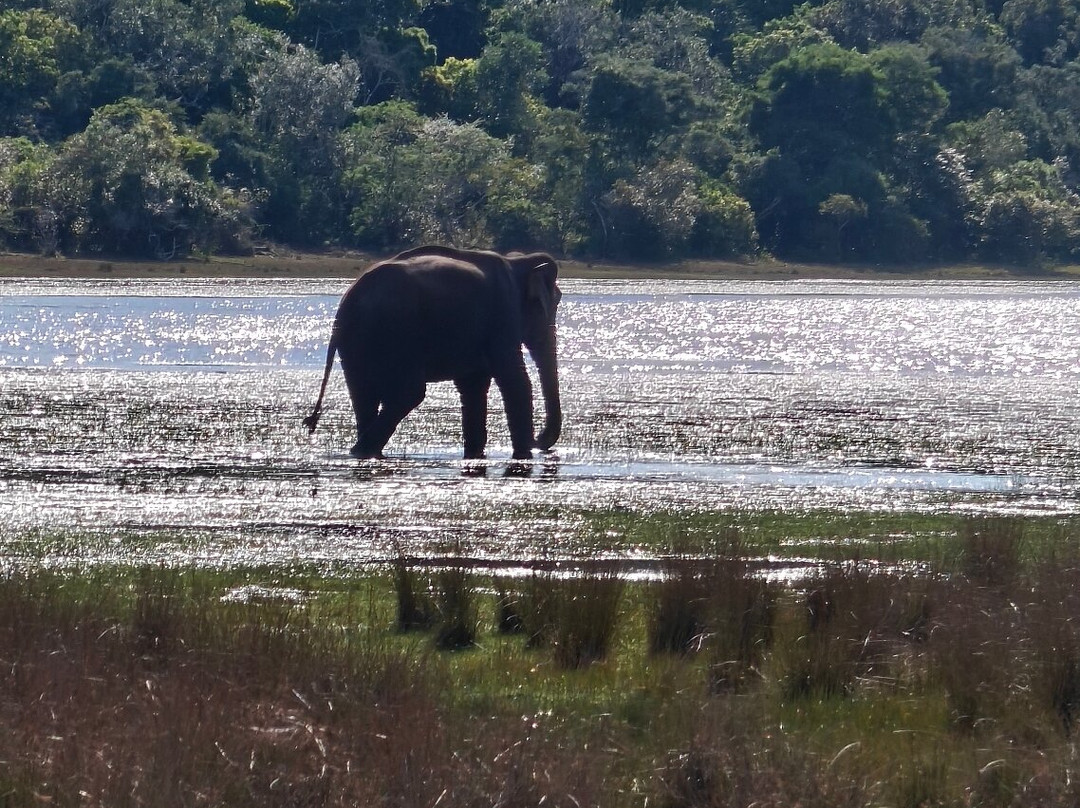 Roshan Lanka Tours-科伦坡必去景点