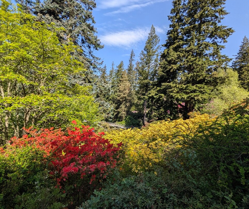 Cragside House and Gardens-Rothbury必去景点