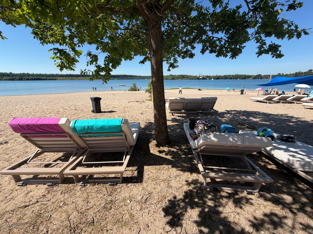 Langener Waldsee-朗根必去景点