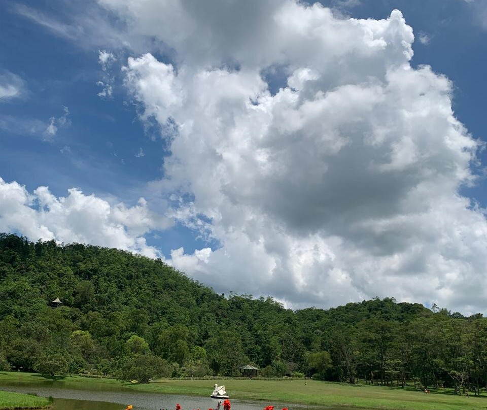 Seethawaka Wet Zone Botanic Gardens-Avissawella必去景点