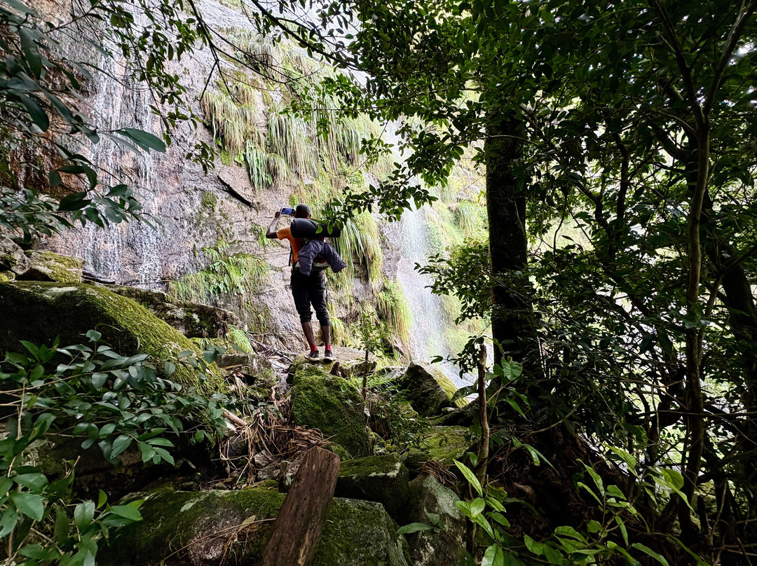 Mulanje Mountain Tour Guide-姆兰杰必去景点