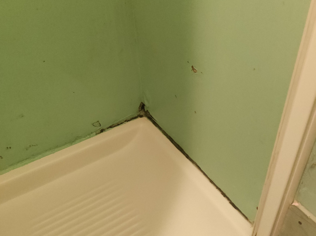 唐卡洛住宿加早餐旅馆主图