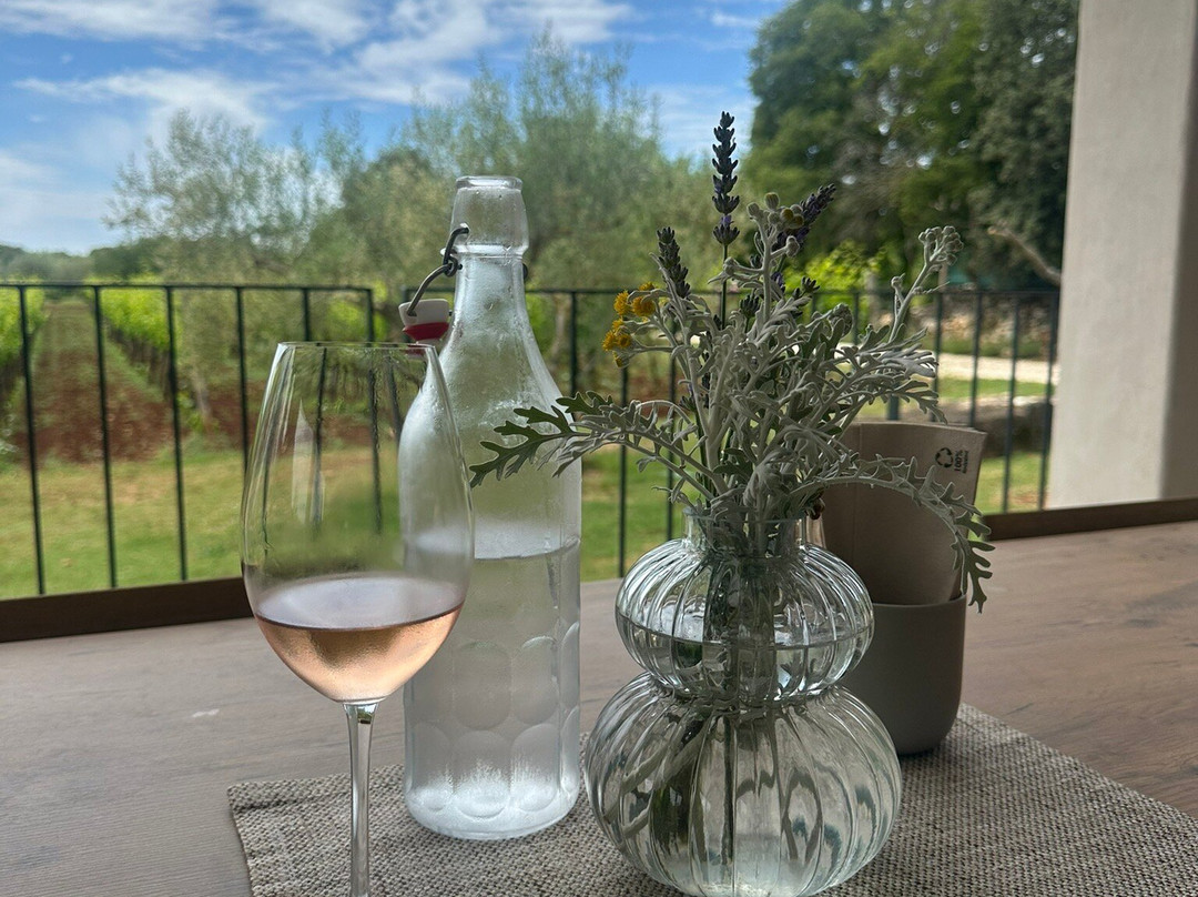 Mare Wines & Olive Oil-罗维尼必去景点