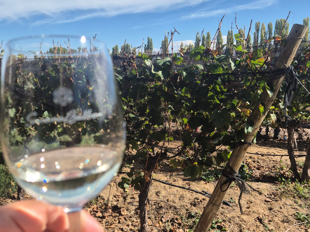 Susana Balbo Wines-路冉得库约必去景点