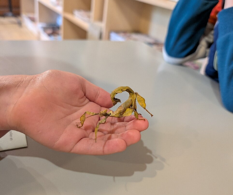 La Cite des Insectes-Nedde必去景点