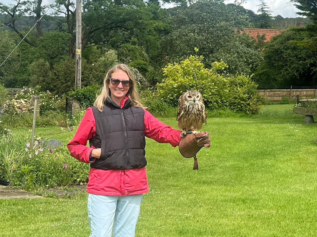 Wren's Birds Of Prey-Wotton-under-Edge必去景点