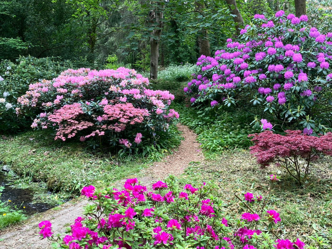 Bonython Estate Gardens-赫尔斯顿必去景点