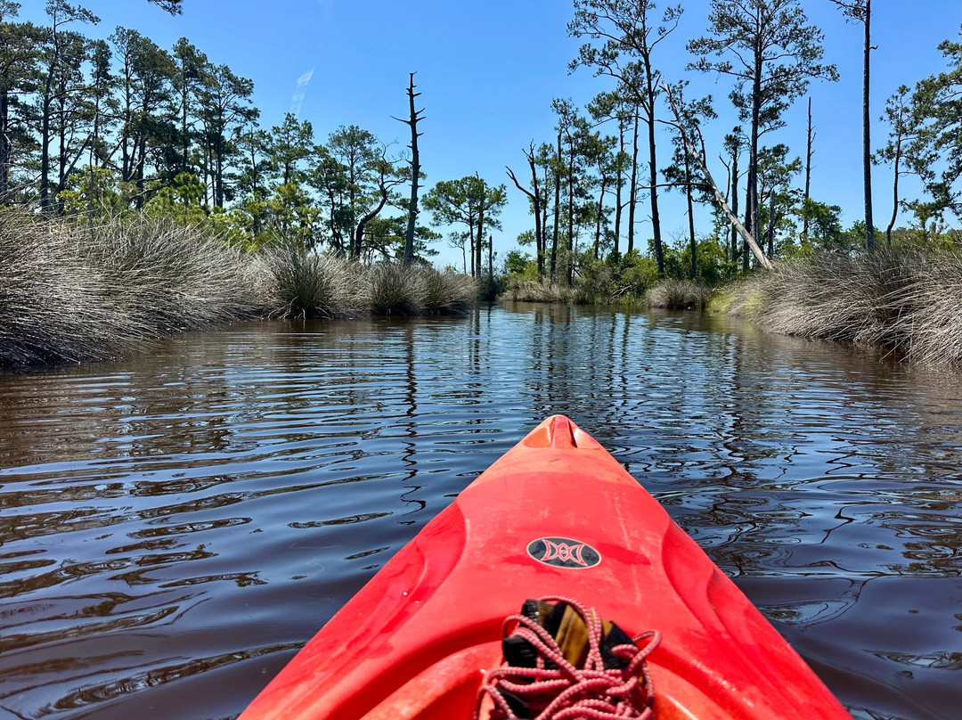Coastal Kayak Touring Company-Duck必去景点