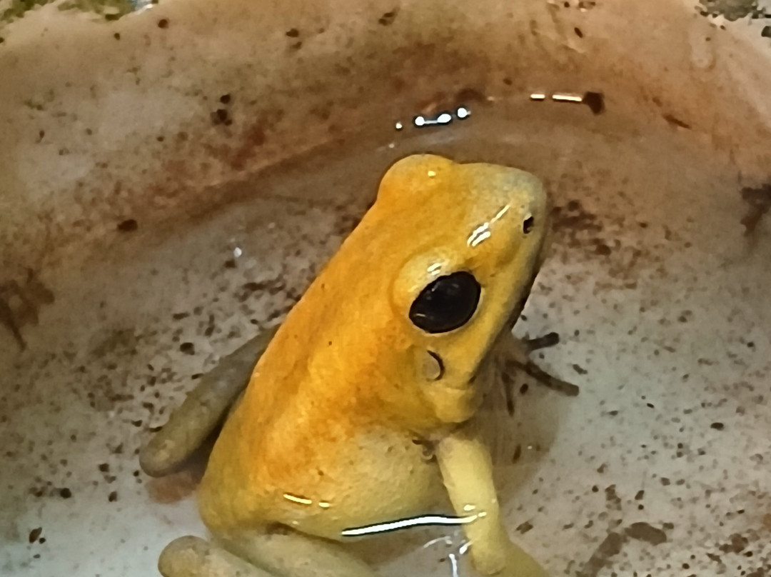 Shaldon Wildlife Trust-Shaldon必去景点