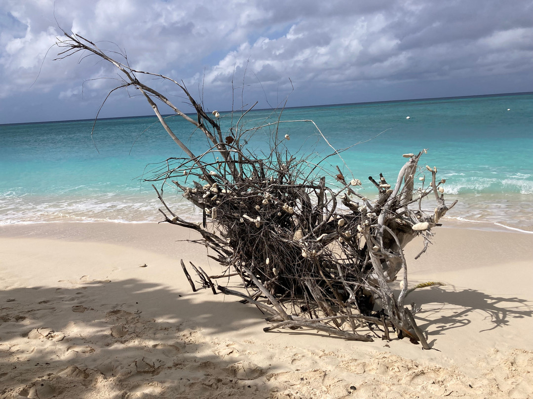 Seven Mile Beach-七哩滩必去景点