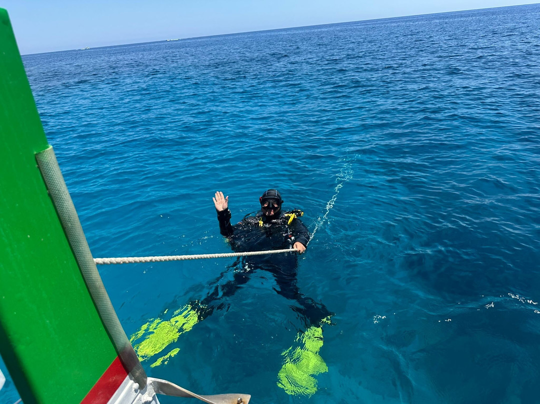 Paradise Diving Malta-史克华必去景点