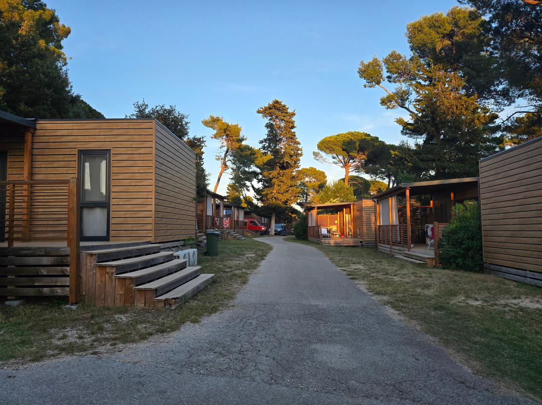Zaton Holiday Resort 4 Star Apartments主图