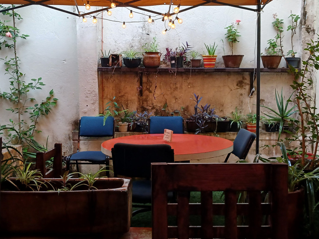 La Casa de Mago