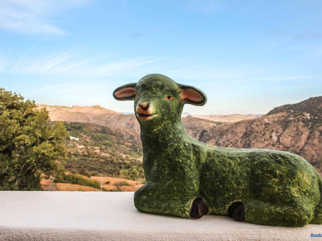 La Oveja Verde De La Alpujarra