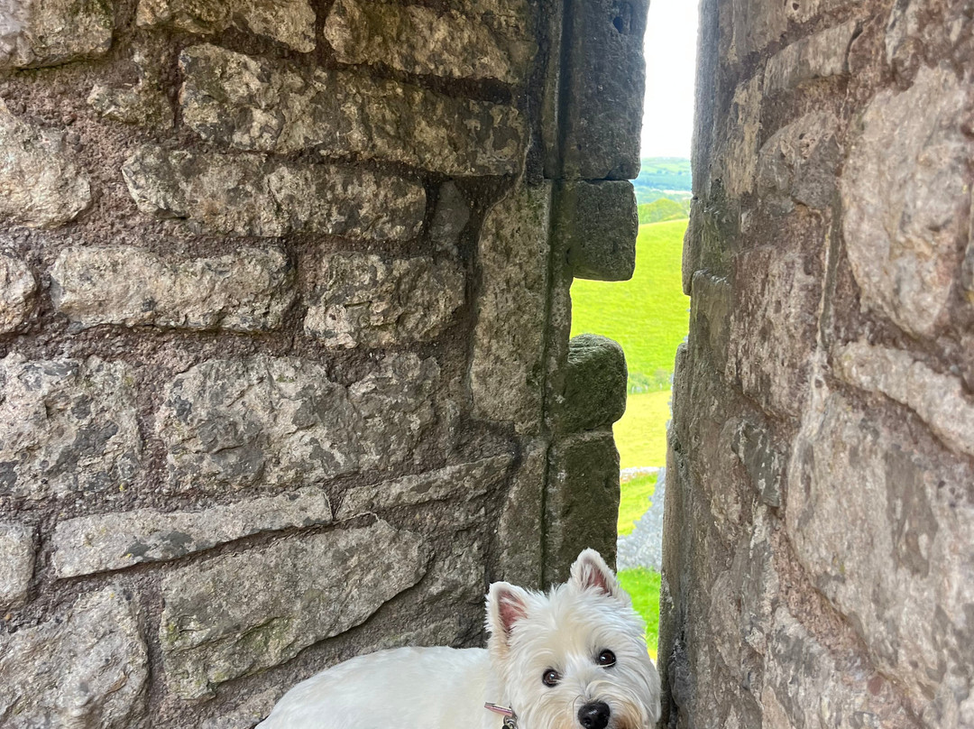 Carreg Cennen Castle Walk-兰代洛必去景点