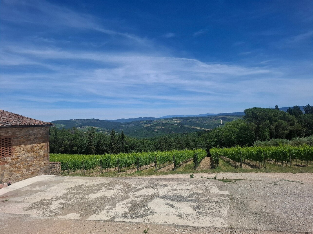 Fattoria di Montecchio-San Donato in Poggio必去景点