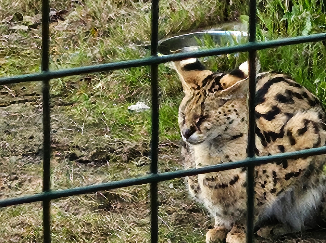 Ponderosa Zoo-Heckmondwike必去景点