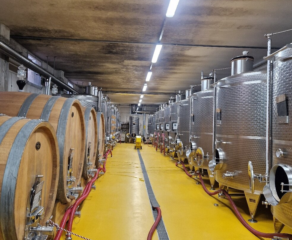 乌尔比诺酒店-桑蒂詹姆斯和菲利普地产集团主图