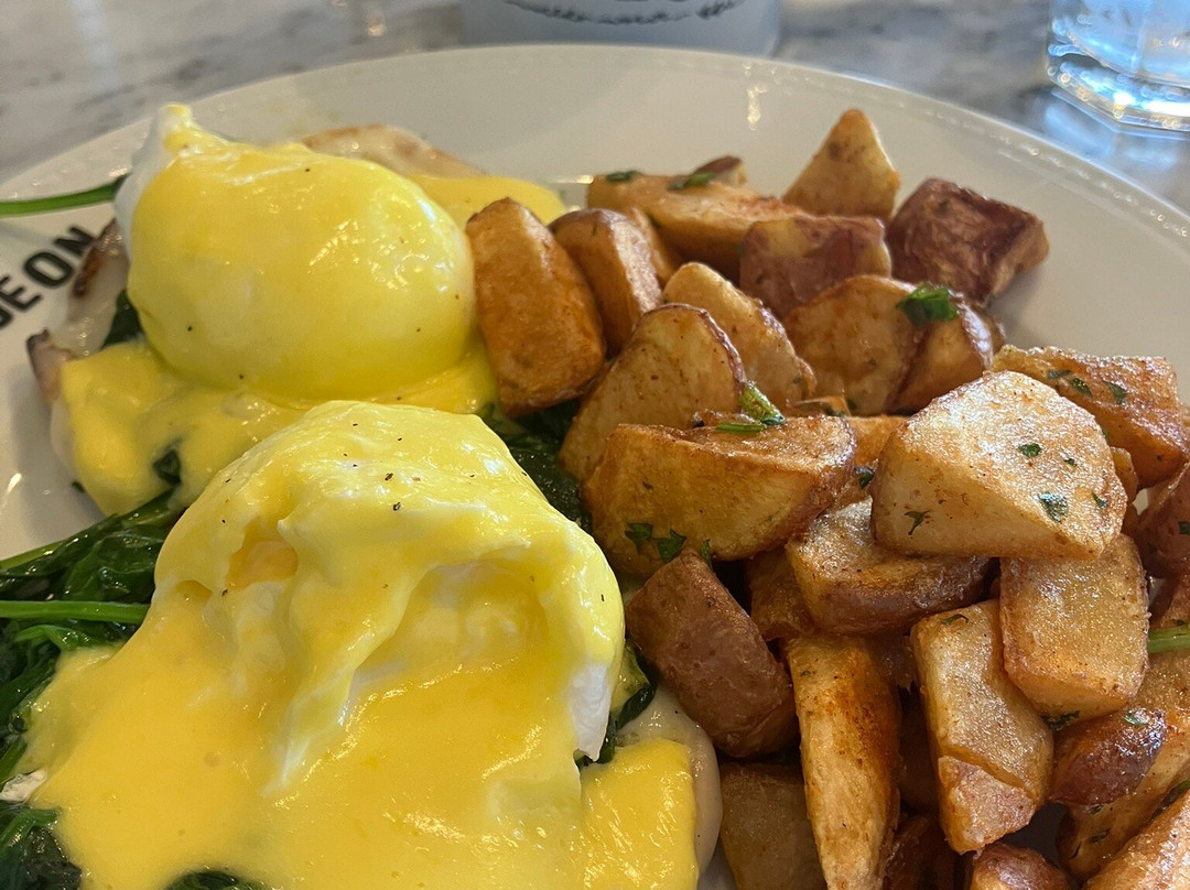 PIgeon Club Cafe