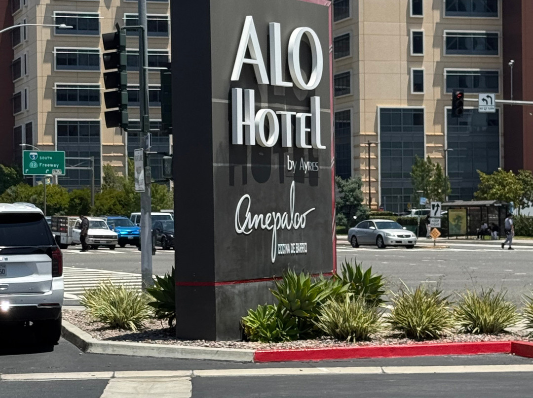 艾尔斯橙县ALO酒店主图