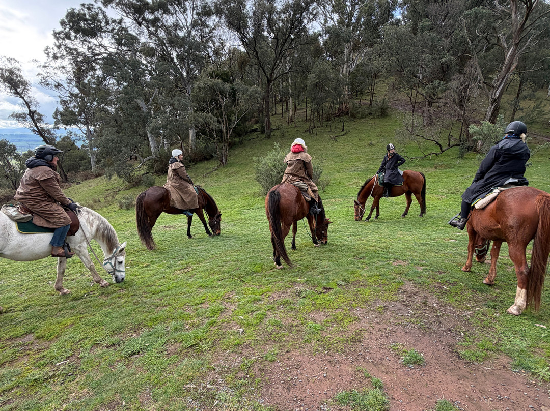 Watson's Mountain Country Trail Rides - Day Tours-曼斯菲尔德必去景点