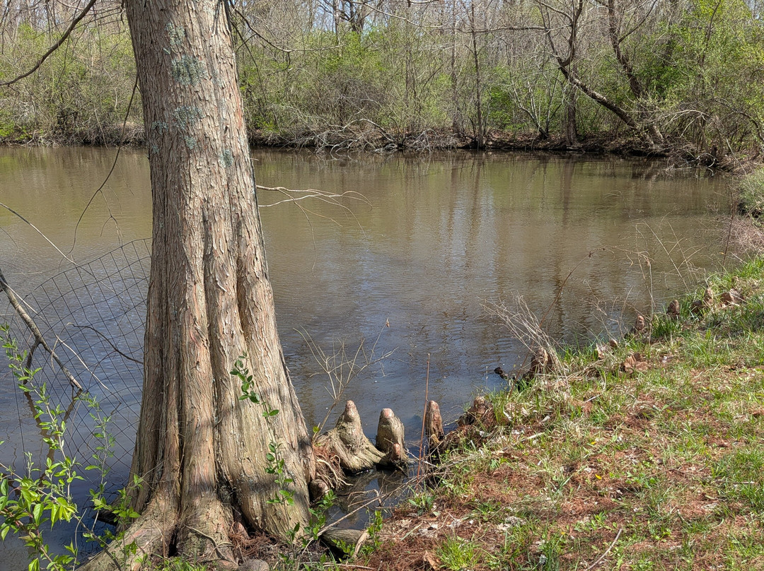 Hidden Acres Nature Preserve