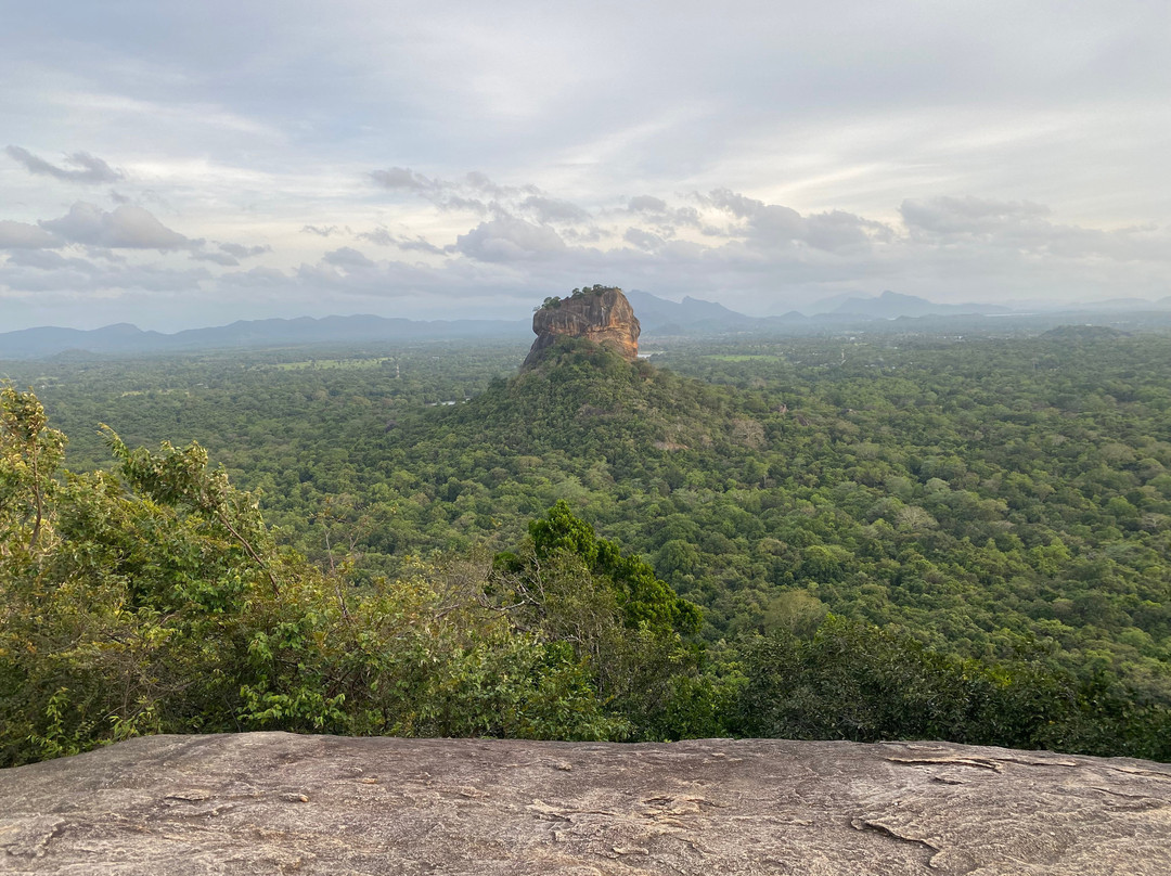 Driver in Sri Lanka-科伦坡必去景点