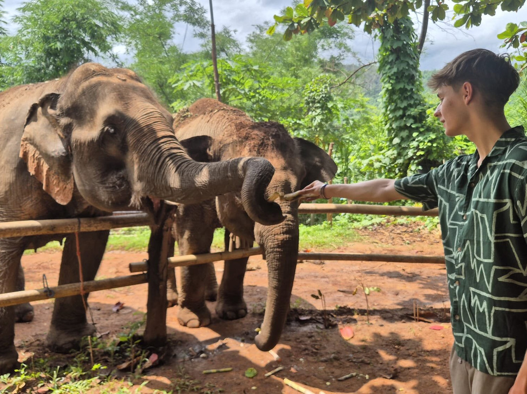 Elephant Sanctuary Care Park-清迈必去景点