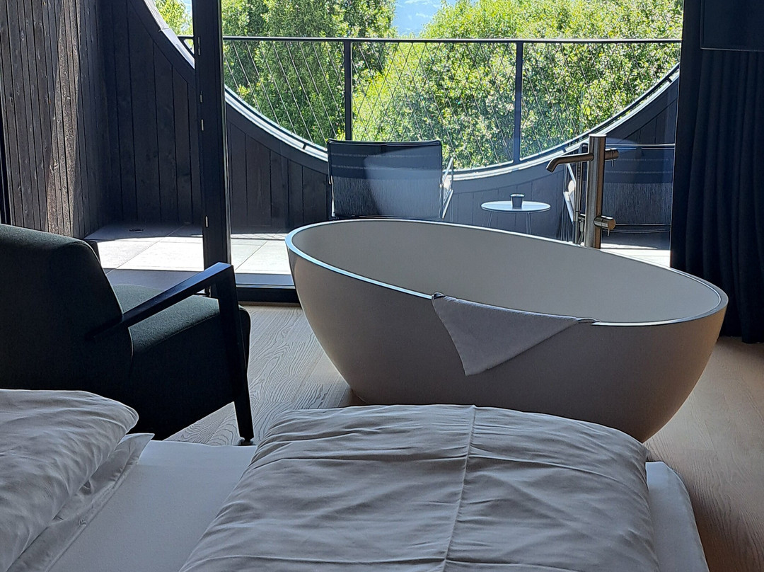 Hotel Milla Montis主图