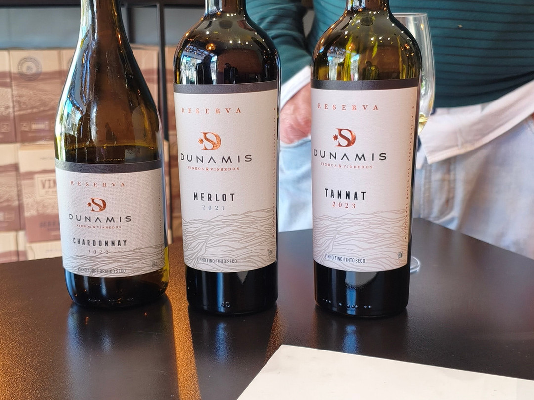 Loja - Dunamis Vinhos & Vinhedos-格拉玛多必去景点