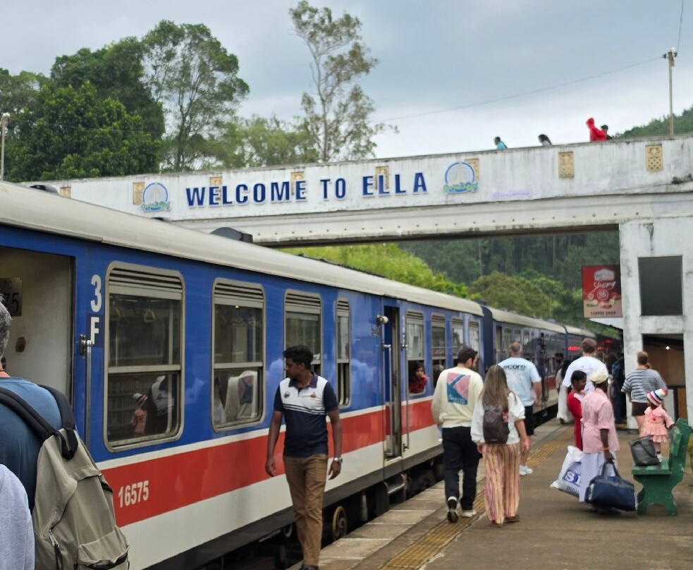 Nanuoya To Ella Train Ride-Nanu Oya必去景点
