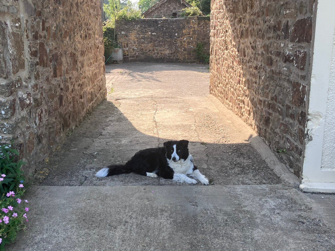 教区农场住宿加早餐旅馆主图