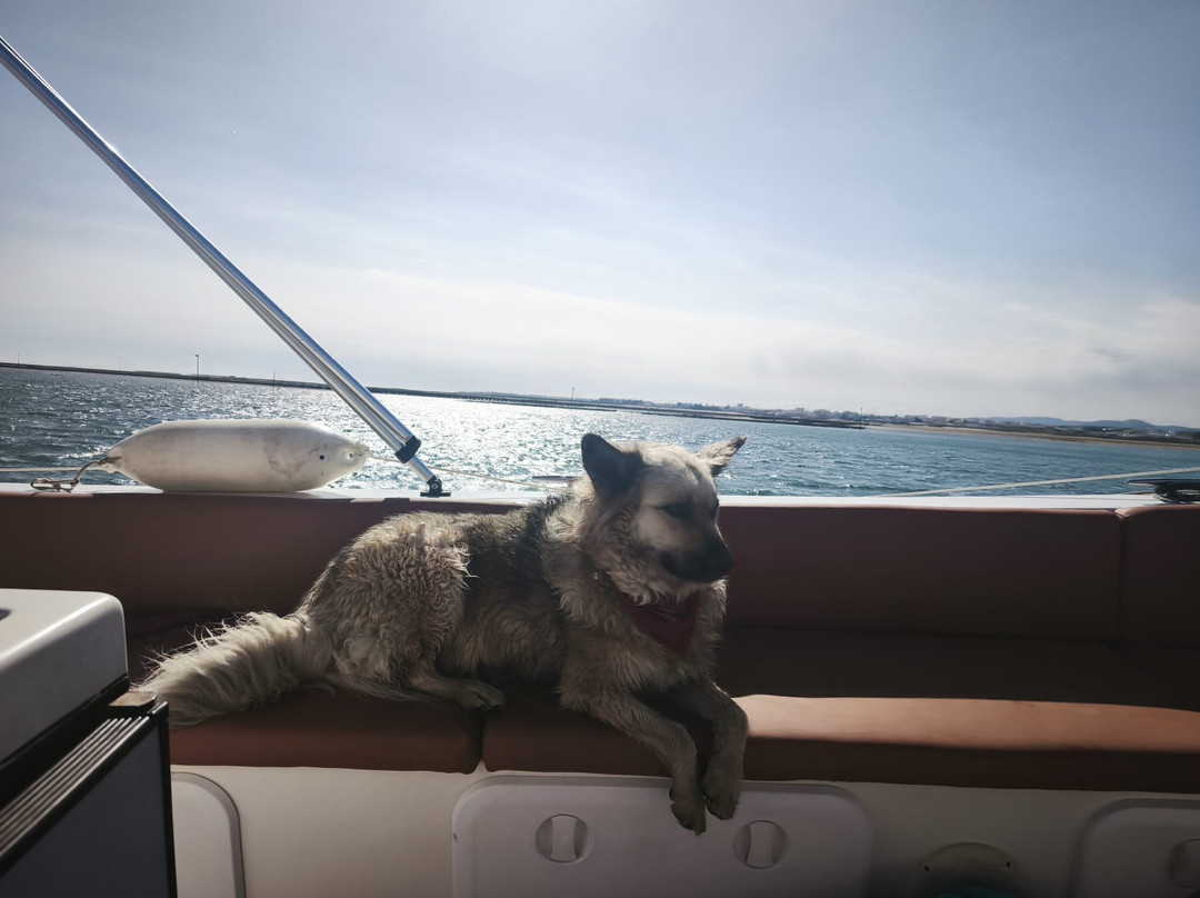 Rota das Ilhas - Boat Tours-奥良必去景点