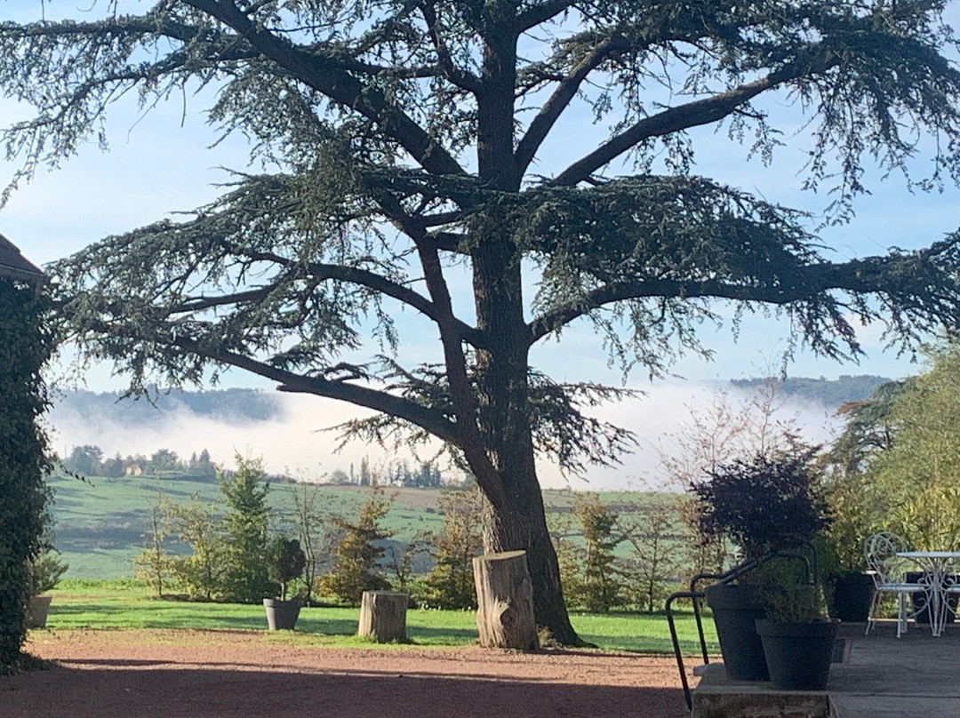 Domaine des Grands Cèdres主图